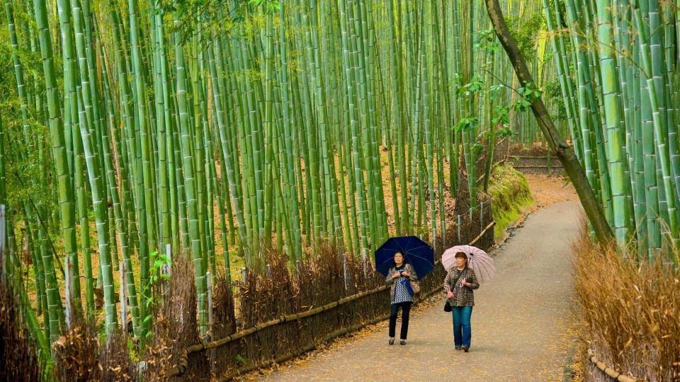 From Osaka: Fushimi Inari Shrine, Kyoto, and Nara Day Trip - Tour Itinerary Details