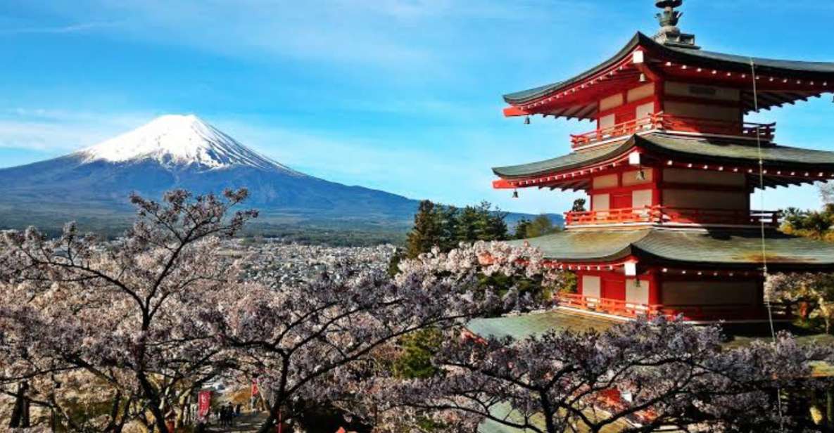 From Tokyo: Customizable Mount Fuji Full-Day Private Tour - Tour Itinerary