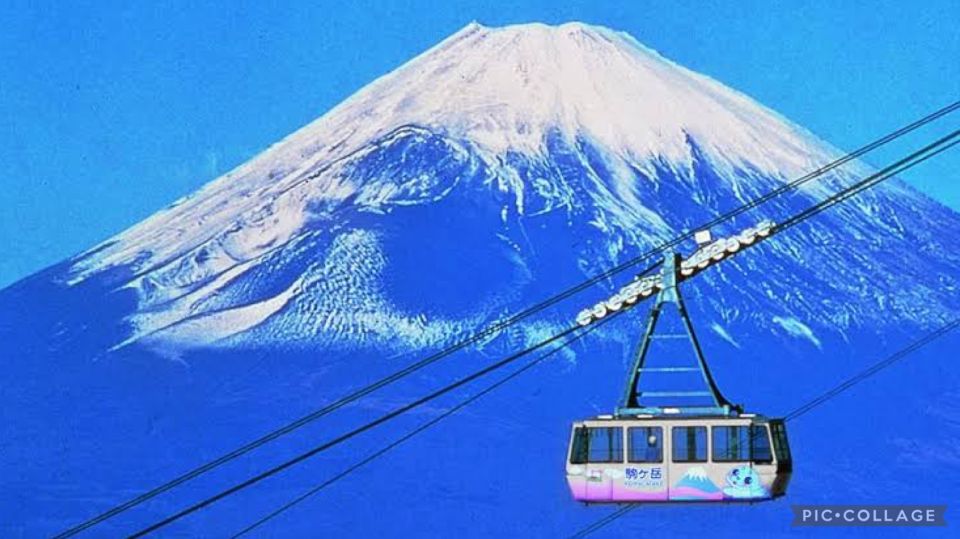 From Tokyo/Hakone/Fuji: Hakone & Mt. Fuji Day Trip W/Pickup - Tour Highlights