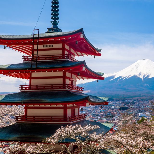 From Tokyo: Mount Fuji and Hakone Private Day Trip - Itinerary
