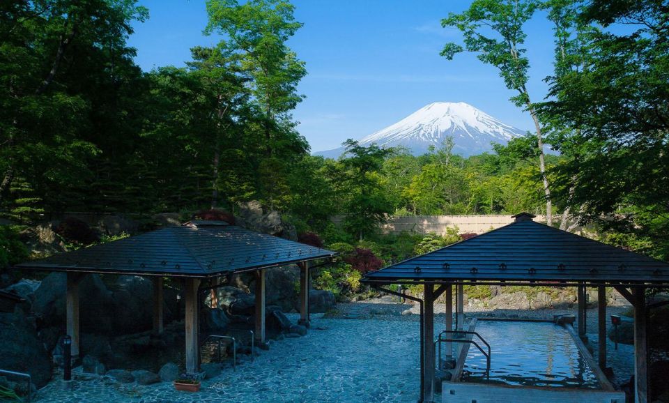 From Tokyo: Mount Fuji Day Trip With Yamanakako Hot Springs - Activity Description