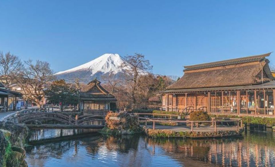 From Tokyo: Mount Fuji Full Day Private Tours English Driver - Tour Details and Vehicle Information