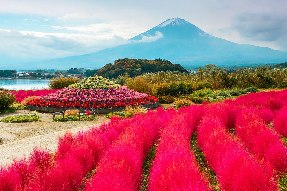 From Tokyo: Mt. Fuji Full-Day Sightseeing Trip - Activity Highlights