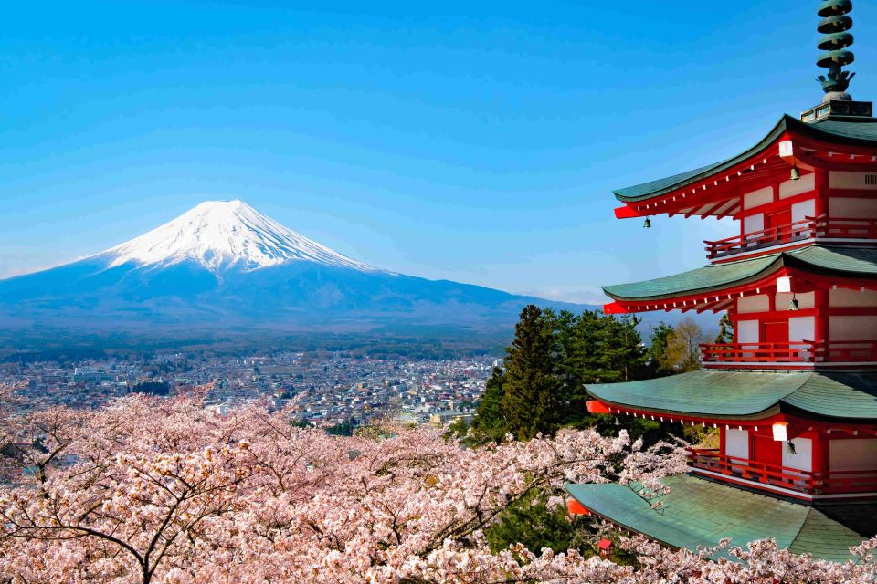 From Tokyo MT Fuji Fully Customize Tour With English Driver - Reservation Details and Payment