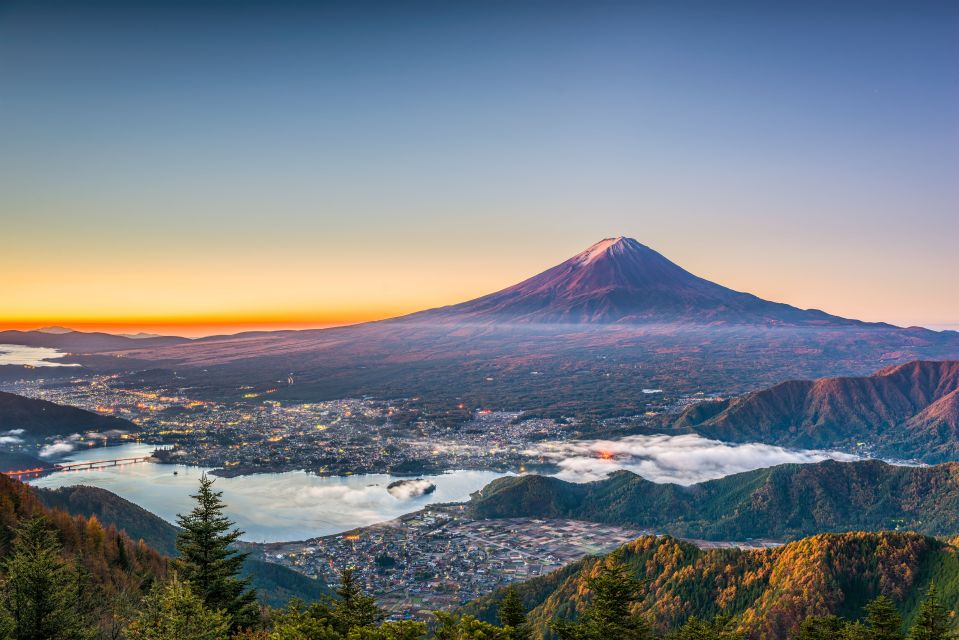 From Tokyo: Mt. Fuji or Hakone Private Sightseeing Day Trip - Itinerary Options