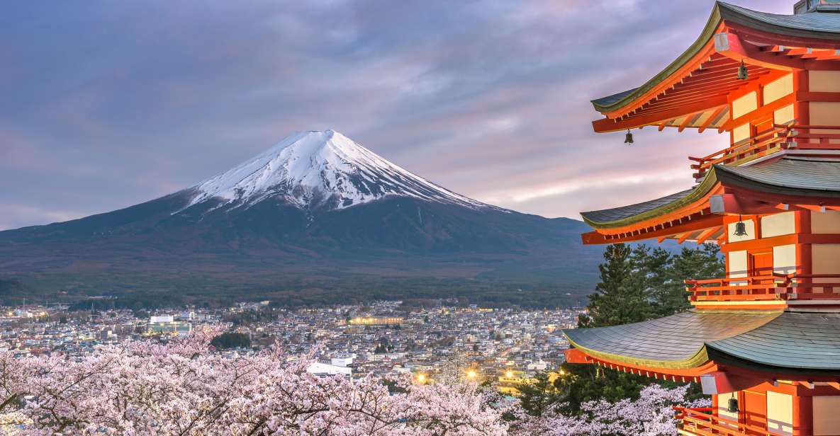 From Tokyo: Private Sightseeing Tour to Mount Fuji & Hakone - Itinerary Highlights