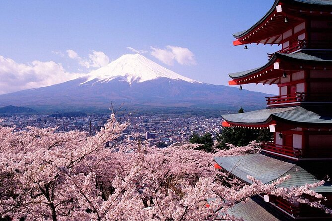 From Tokyo to Mount Fuji Instagram Worthy Full Day Tour - Itinerary Highlights