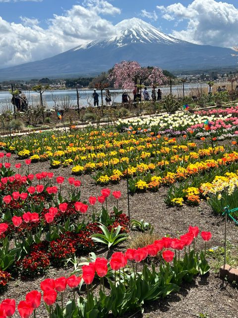 From Tokyo/Yokohama: Private Day Trip to Mt Fuji and Hakone - Customer Review