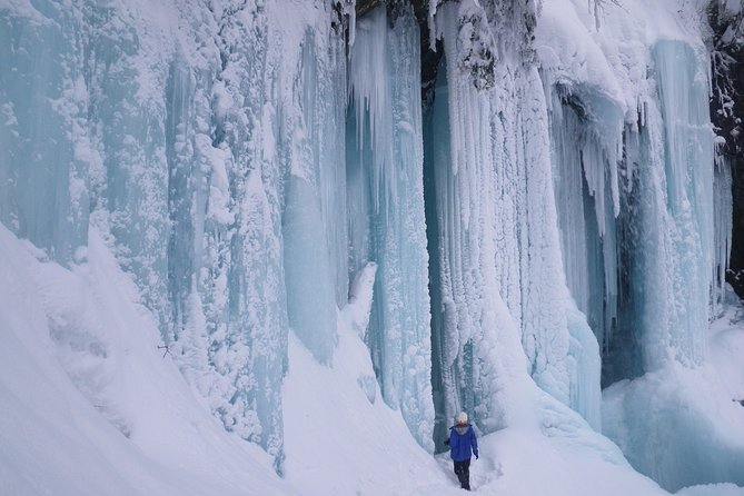 Frozen Fall Trekking - Private Guided Snowy Forest Trek