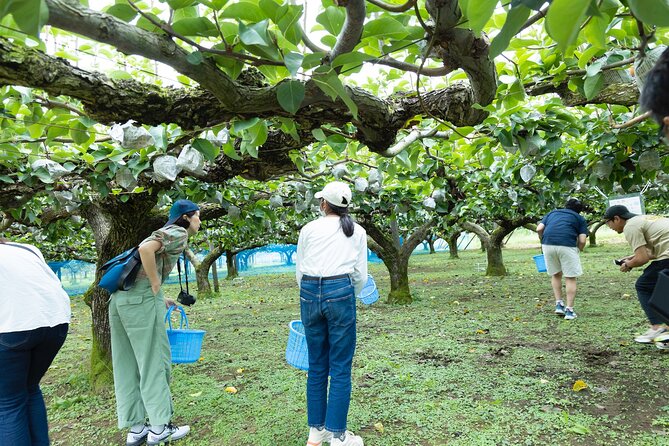 Fruit Farm Dining Experience in Ukiha - Inclusions and Start Time