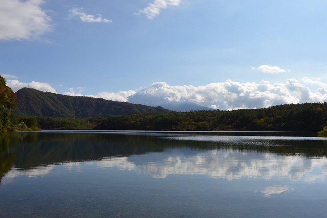 Fuji Kawaguchiko Hakone Private Car Tour - Inclusions