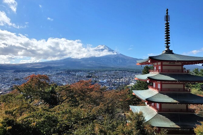 Full Day Private Guided Tour Mt. Fuji and Hakone - Pickup Details