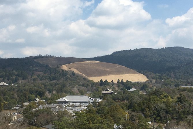 Full-Day Private Guided Tour to Nara Temples - Inclusions and Exclusions