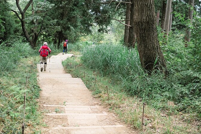 Full Day Private Hiking Tour in Mt. Takao - Additional Information