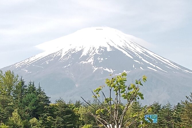 Full-day Private Mount Fuji Tour by Premium Car - Meeting and Pickup