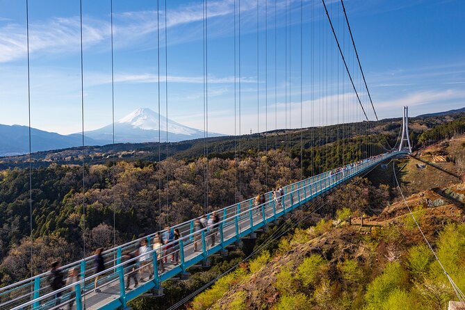 Full Day Private Tour in Hakone - Meeting and End Point