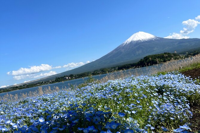 Full Day Private Tour in Mount Fuji and Hakone - Pickup Details