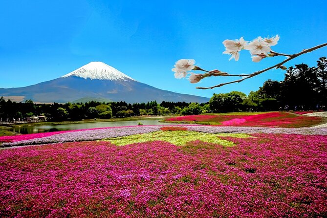 Full Day Private Tour in Mt. Fuji and Hakone - Inclusions