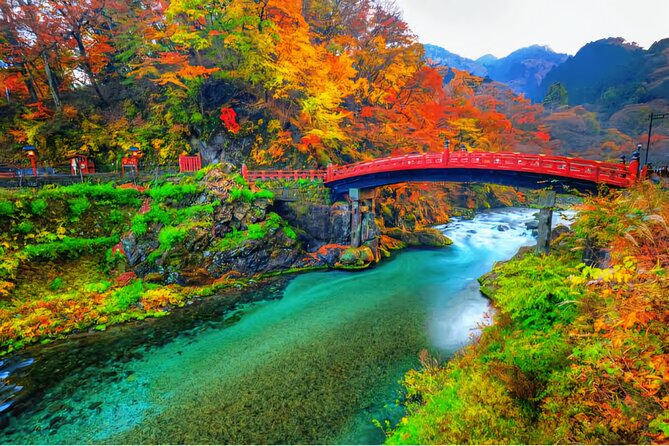 Full Day Private Tour in Nikko - Activity Info