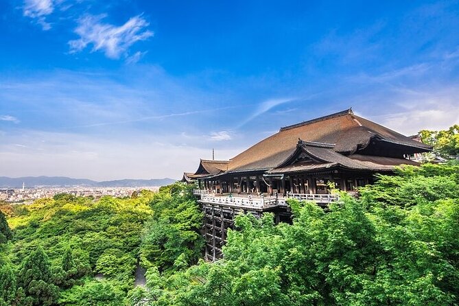 Gion and Kiyomizu Temple Tour to Enjoy Kyoto in a Short Time - Tour Cost Breakdown