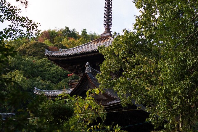 Guided Walking Ohenro Pilgrimage Experience in Dogo Hot Spring - Meeting Point