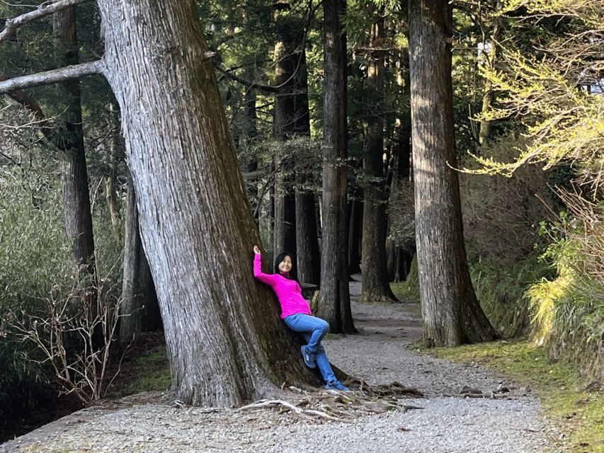 Hakone Hachiri: Old Tokaido Highway Hiking Tour - Description