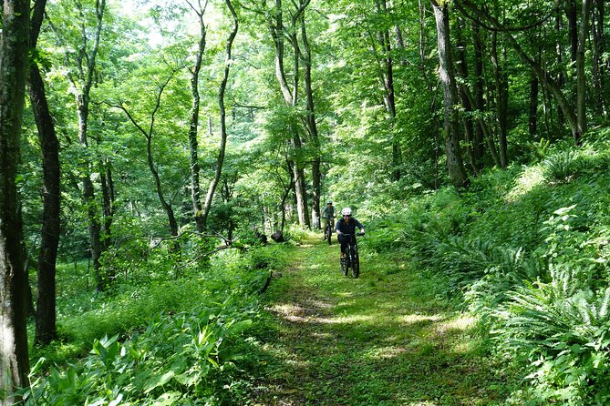 Half Day E-Bike Adventure Tour in Nagano - What To Expect