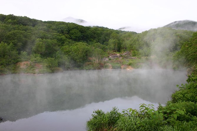 Half-Day Private Guided Japanese Hot Spring Experience - Inclusions