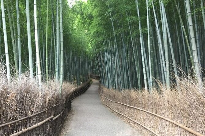 Half-Day Private Guided Tour in Kyoto, Arashiyama - Meeting Points and End Point