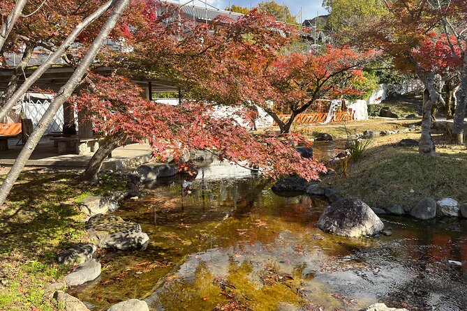 Half-Day Private Guided Tour to Kyoto Old Town - Accessibility Information