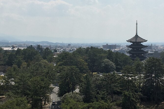 Half-Day Private Guided Tour to Nara City - Meeting and Pickup Details