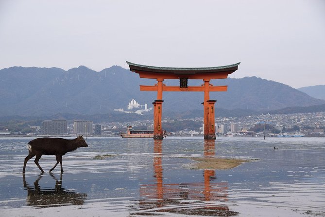 Hiroshima Custom Private Walking Tour With Licensed Guide (4/7h) - Cost and Booking