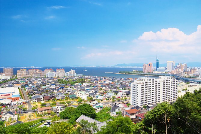 Historic Fukuoka: Castles, Shrines & Canal City Walk - Ohori Park: Tranquil Oasis in the City