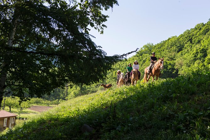 Horseback-Riding in a Country Side in Sapporo - Private Transfer Is Included - Important Information