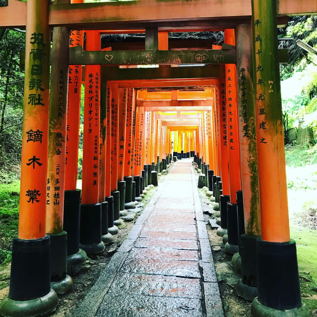 Inside of Fushimi Inari - Exploring and Lunch With Locals - Cancellation Policy