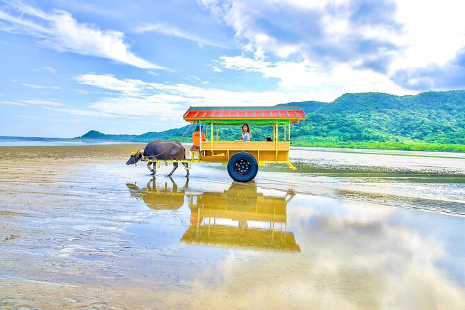 [Iriomote]Sup/Canoe Tour + Sightseeing in Yubujima Island - Meeting and Pickup Details