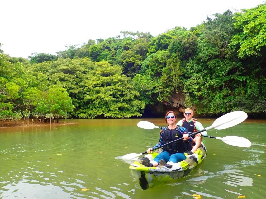 Ishigaki Island: 2-Hour Miyara River Kayaking Tour - Activity Highlights