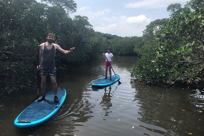 Ishigaki Island Unexplored Subtropical Mangrove Sap Experience - Cancellation Policy