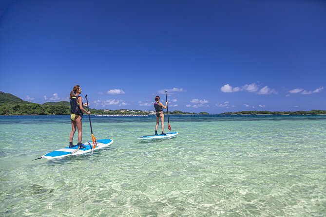 [Ishigaki] Kabira Bay SUP/Canoe Tour - Inclusions