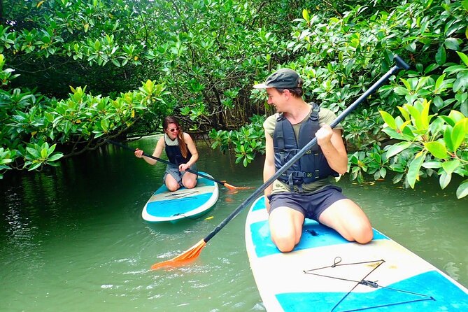 [Ishigaki] Mangrove SUP/Canoe + Phantom Island Snorkeling - What to Expect