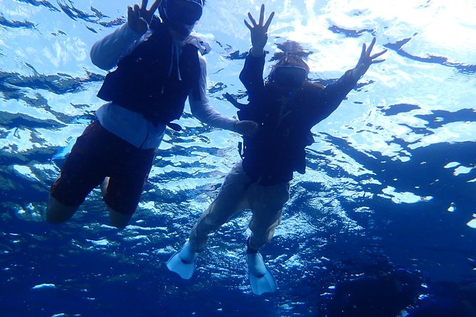 [Ishigaki]Phantom Island Snorkeling+ Taketomi Island Sightseeing - Inclusions and Meeting Details