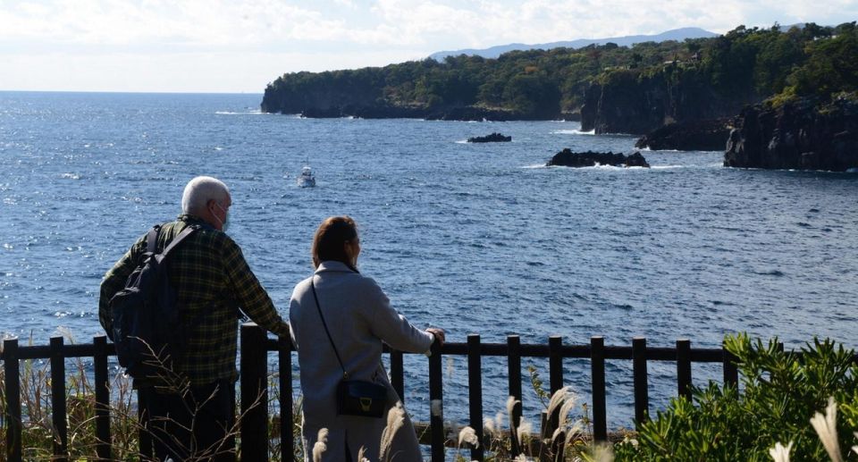 Izu Peninsula: Jogasaki Coast Experience - Tour Details