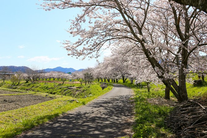 Japans Rural Life & Nature: Private Half Day Cycling Near Kyoto - Meeting Point Details