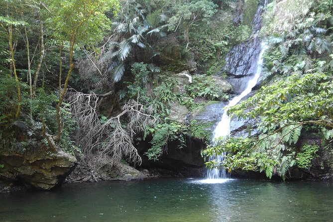 Jungle River Trek: Private Tour in Yanbaru, North Okinawa - Location