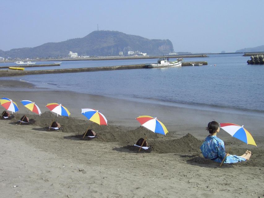 Kagoshima: Samurai History and Hot Sand Baths Private Tour - Tour Highlights
