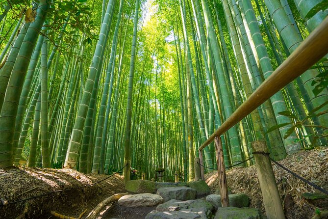 Kamakura Tour - What To Expect