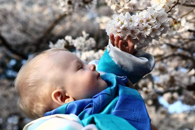 Kanazawa Private Half Day Photoshoot by Professional Photographer - Customer Reviews