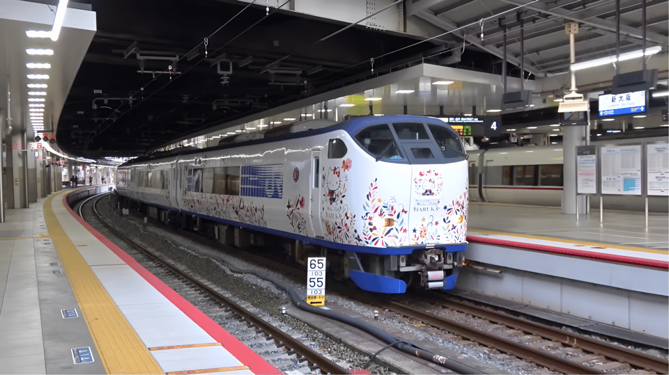 Kansai-Airport Express HARUKA One-way Ticket - Experience Highlights