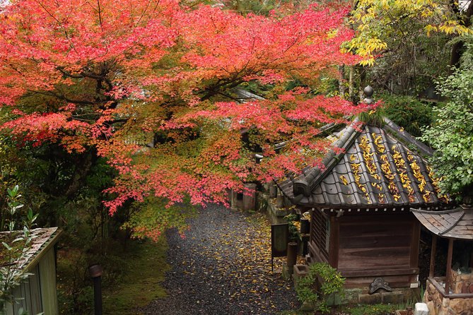 Kimono and Authentic Tea Ceremony in Miyajima - Reviews