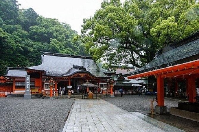 Kumano Kodo Half Day Daimonzaka and Nachi Taisha Tour - Price and Booking